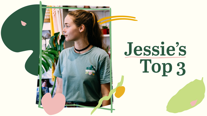 STAFF PICKS — Jessie's Top Three