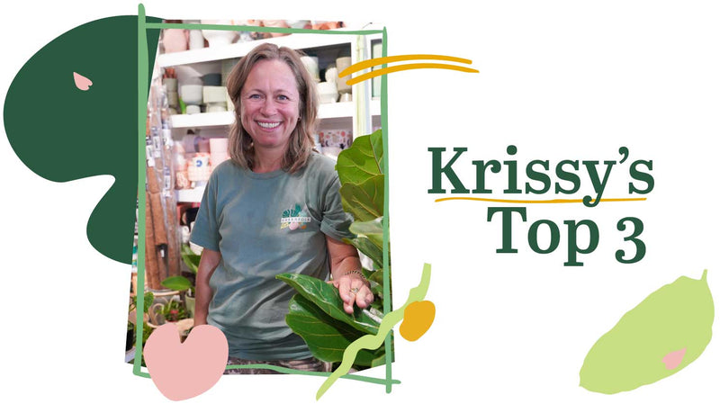 Staff Picks – Krissy's Top Three