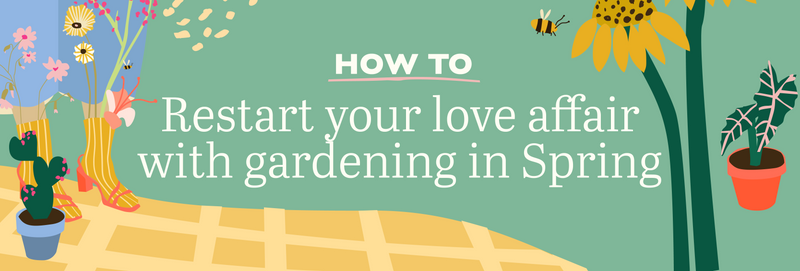 Spring Fling — Restart your love affair with gardening in Spring