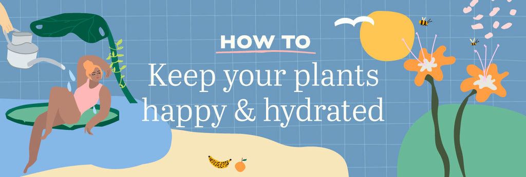 How to: Keep Your Plants Happy & Hydrated – Green Folk Botany Shop