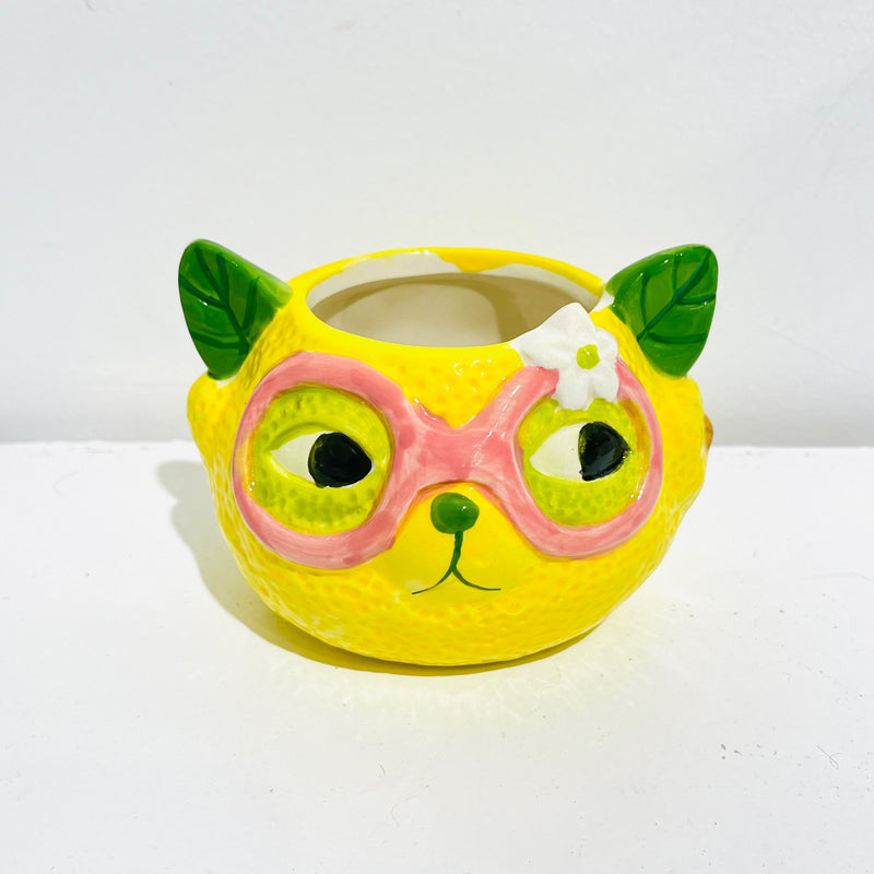 ‘Tropicana Cat’ Lemon Planter