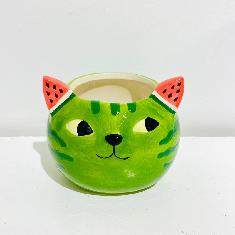 Watermelon cat planter