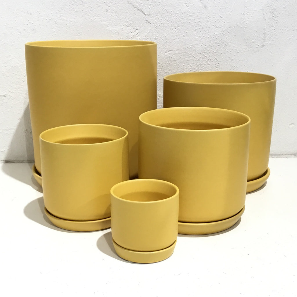 Cylinder Planter w/ Saucer - Citrine