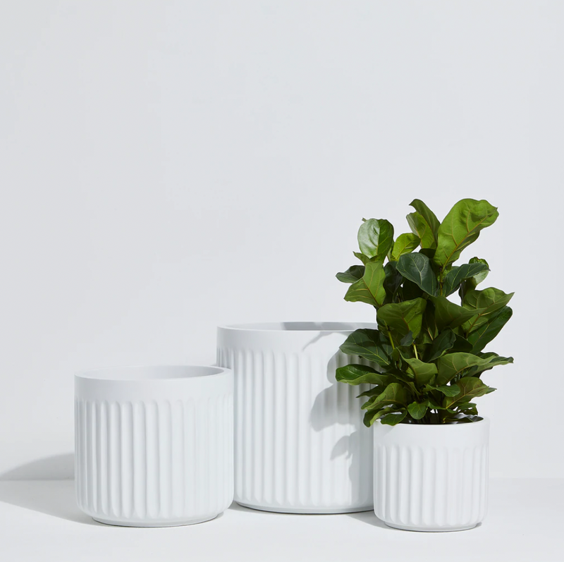 On The Side - EMPIRE - WHITE / Lightweight Pots