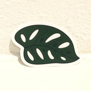 Plant Scouts Sticker - Monstera adansonii