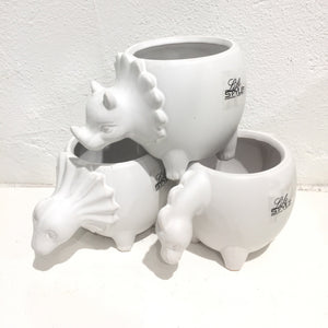 Dinosaur pots