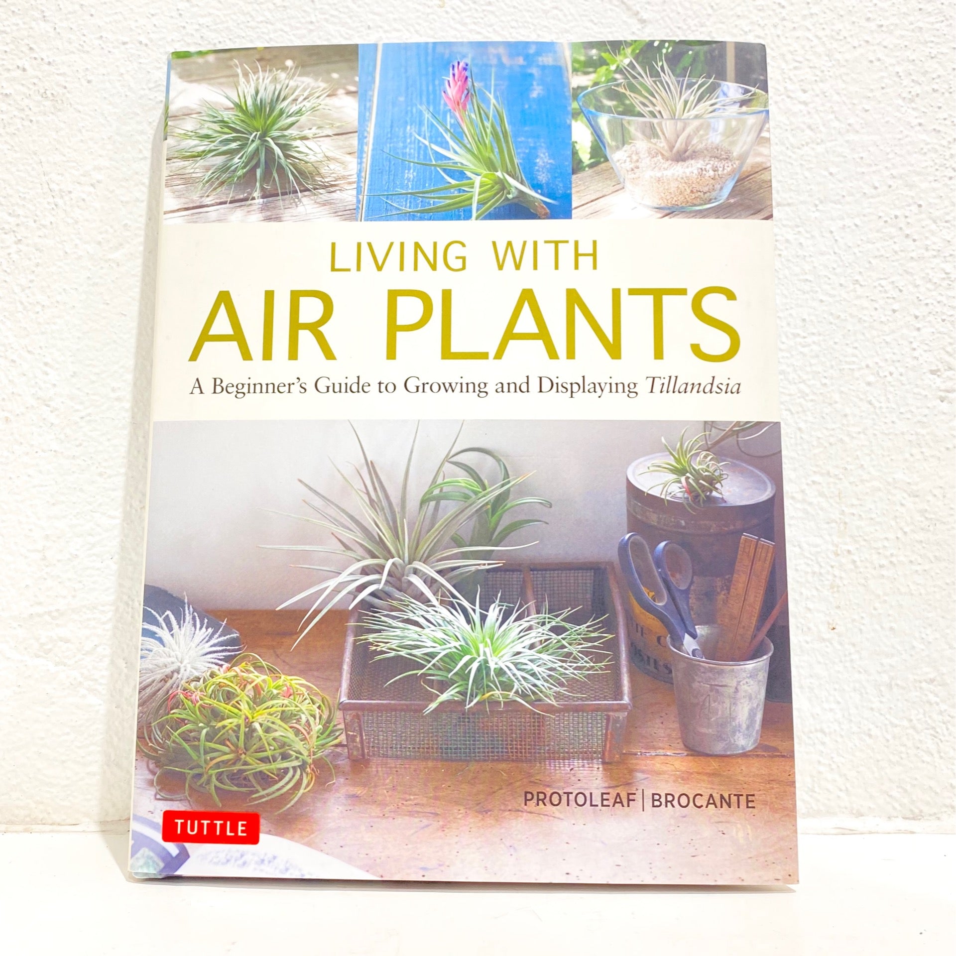 air plants the curious world of tillandsias pdf Living with Air Plants