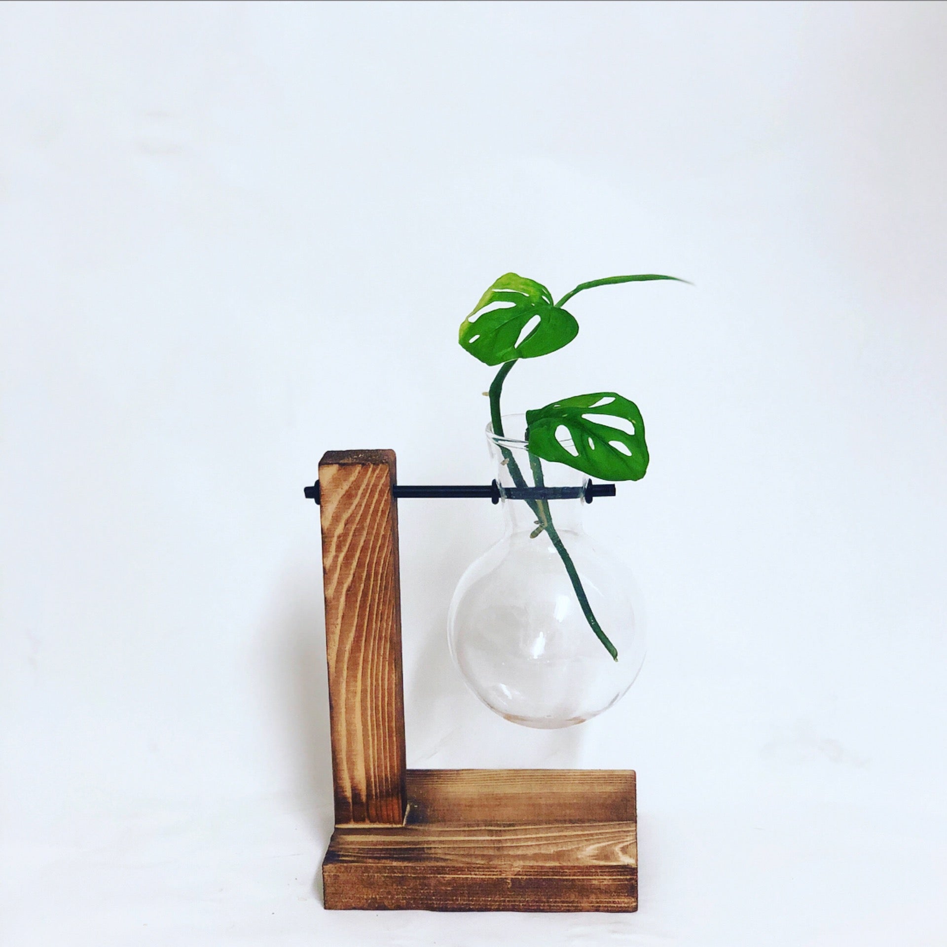 beaker plant pot Propagation Station