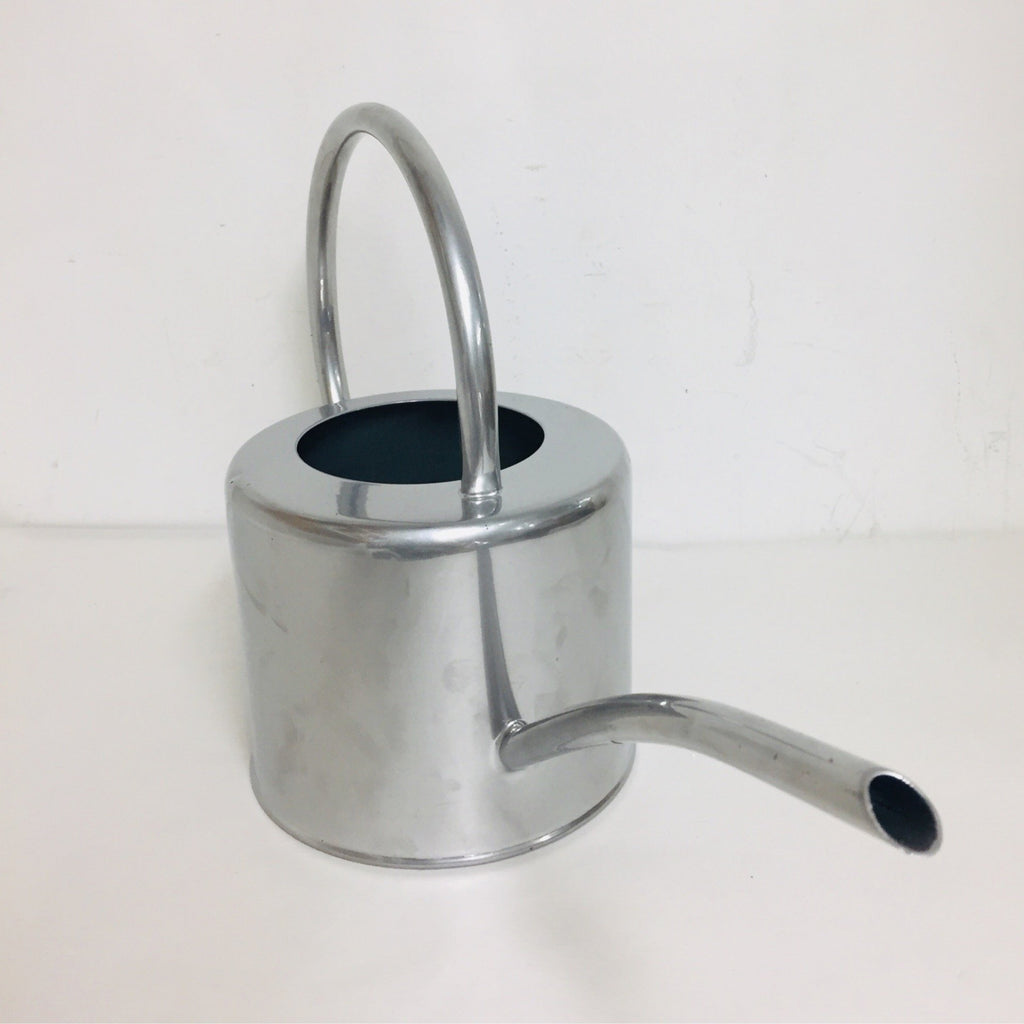 Indoor Watering Can - Silver