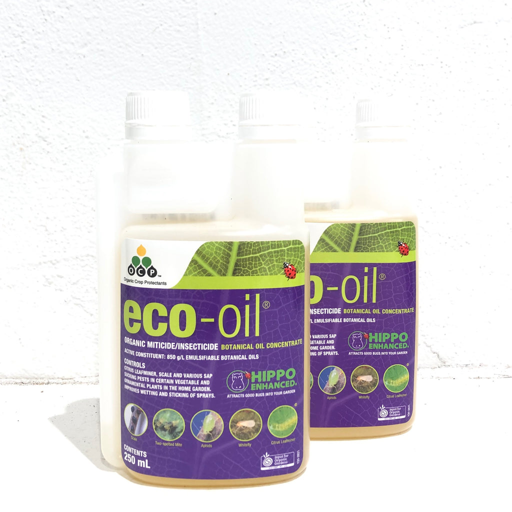 Eco Oil - Concentrate Botanical Spray 250ml