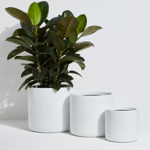 On The Side - PRESLEY - WHITE - Lightweight Pot