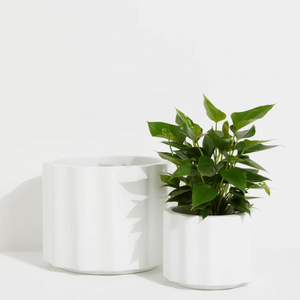 On The Side - WAVE - WHITE / Lightweight Pots