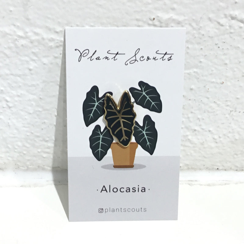 Plant Scouts Pin - Alocasia