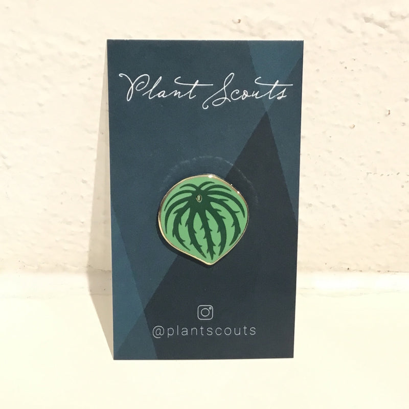 Plant Scouts Pin - Watermelon Peperomia