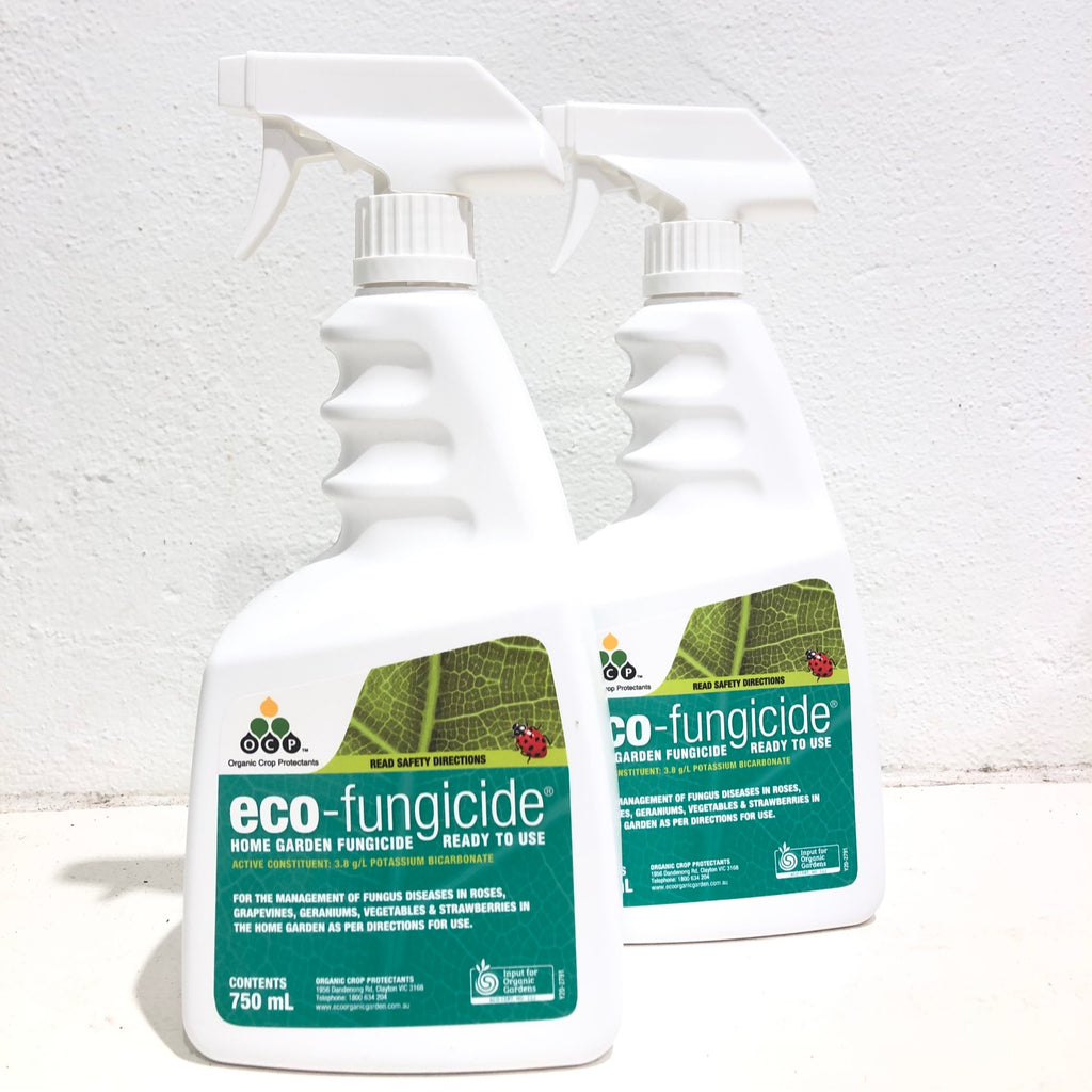 Eco Fungicide